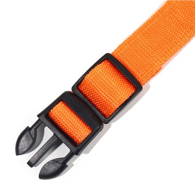 Ошейник с подсветкой размер S, ОШ 35-43×2.5 см, 3 режима свечения оранжевый