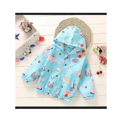 Ветровка #21628056