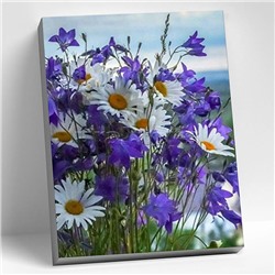 Картина по номерам 40х50 "Полевые цветы" (17 цветов)
