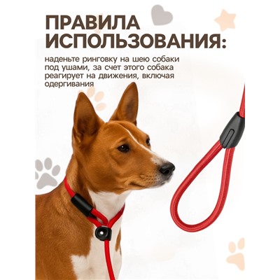 Ринговка для собак, 130×0.8 см, красная