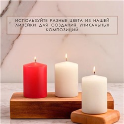 Ароматическая свеча-цилиндр «Цветущий сад», набор 2 шт., 5.6×8 см