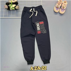 штаны 2057101-1