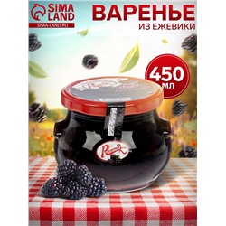 Варенье из ежевики ТМ Ragmak, 450 мл
