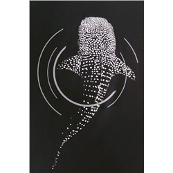 Футболка VILATTE, 1119031