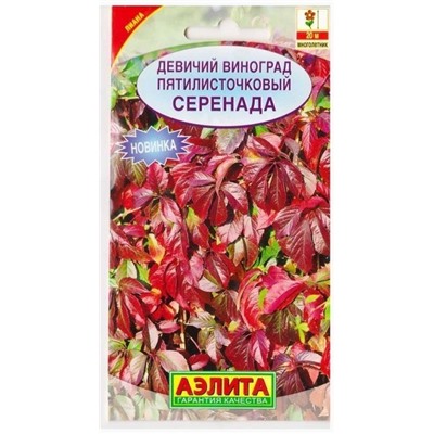 Виноград девичий Серенада   (Код: 75486)