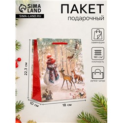 Пакет подарочный новогодний ламинированный, «Встреча друзей», 18×10×22.3 см