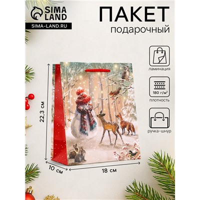 Пакет подарочный новогодний ламинированный, «Встреча друзей», 18×10×22.3 см