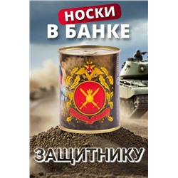 Носки мужские в банке №GL1719 "Сухопутные войска" (Ассорти)