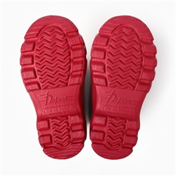 Сапоги детские с утеплителем, цвет чилли, размер 30/31