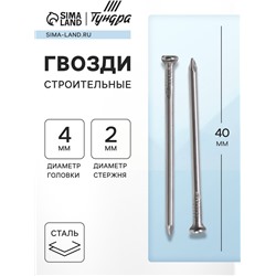 Гвозди ТУНДРА, строительные, ГОСТ 4028-63, без покрытия, 2×40 мм, фасовка 1 кг