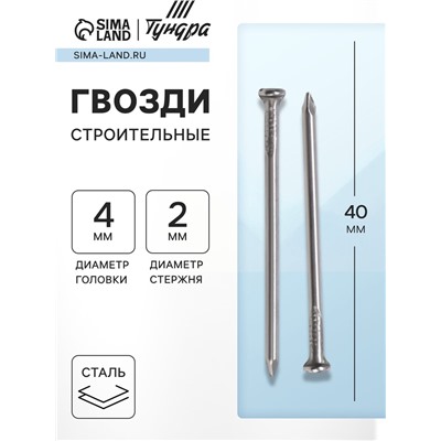 Гвозди ТУНДРА, строительные, ГОСТ 4028-63, без покрытия, 2×40 мм, фасовка 1 кг