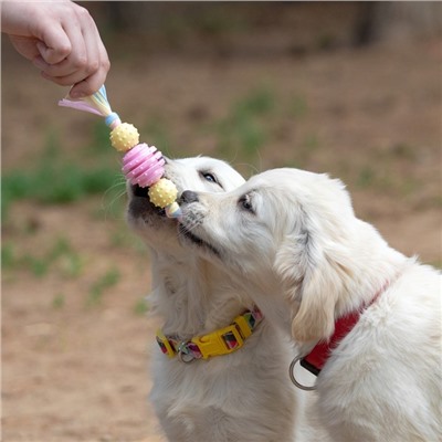 Игрушка жевательная Пижон Premium на верёвке, 3 элемента, термопластичная резина, МИКС