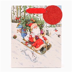 Пакет подарочный новогодний ламинированный «На санях», люкс, 18×22.3×10 см