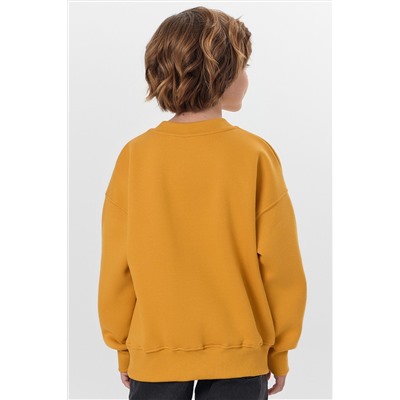 Свитшот MARK FORMELLE, 1213765