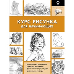 АСТ . "Курс рисунка для начинающих"