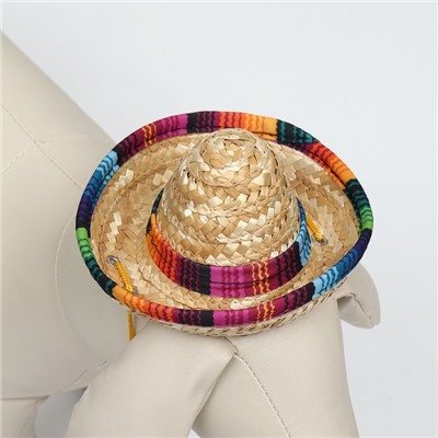 Шляпа для животных, размер S, 16×8×7 см