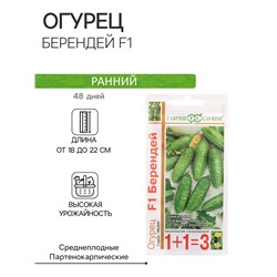 Семена огурца "Берендей F1", 20 шт.