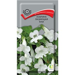 Азарина Белая лазающая (Код: 92789)