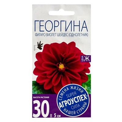 Семена цветов Георгина Фигаро Виолет Шейдес Агроуспех 7шт (400)