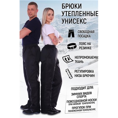 Брюки утепленные UNIVERSAL light black (Черный)