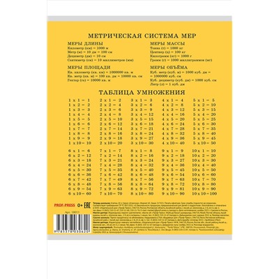 Тетрадь ЛИНИЯ 18л. КЛАССИКА (18061-18065) (цвет.мелов.обл.) НАТАЛИ, 1033269