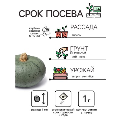 Семена Тыква "Крошка", 1 г