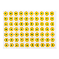 Аппликатор Кузнецова, 70 колючек, пленка, 23×32 см