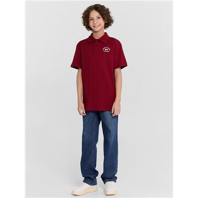 ПОЛО ДЛЯ МАЛЬЧИКОВ 113458