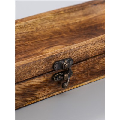 УЦЕНКА Подставка под благовония с хранением «Футляр», 31×10×5.5 см, дерево шишам