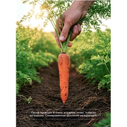 Семена Морковь «Ле Санте», F1, 200 шт., «Агросс»