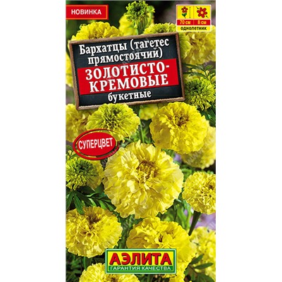 Бархатцы Золотисто-Кремовые (Код: 93522)