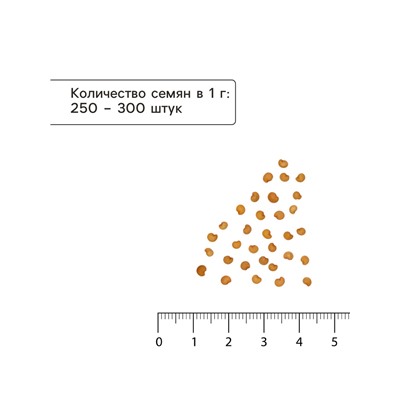 Семена Баклажан «Фабина», F1, 5 шт., «Престиж семена»