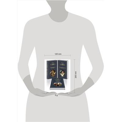 491377 Эксмо Кафка Ф. "Набор: Самые известные произведения Франца Кафки (комплект из 3 книг: "Процесс", "Превращение" и "Замок. Рассказы")"