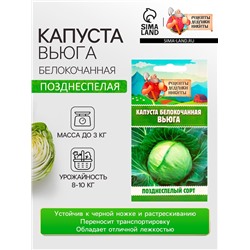 Семена Капуста белокочанной "Вьюга", 0,3 г