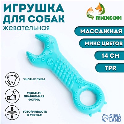 Массажная игрушка для собак «Ключ» 14 см, TPR, МИКС