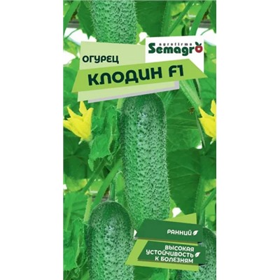 8049N Огурец Клодин F1 5шт