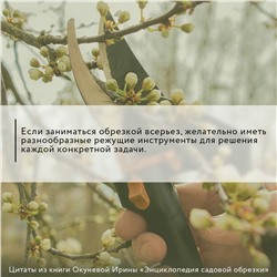 АСТ Ирина Окунева "Энциклопедия садовой обрезки"