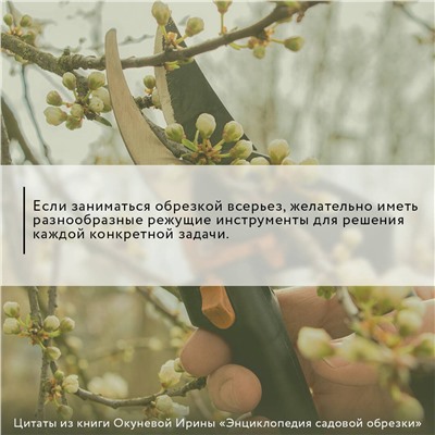 АСТ Ирина Окунева "Энциклопедия садовой обрезки"