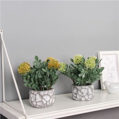 Искусственный цветок в горшке «Ваточник галант», 8×16 см, МИКС