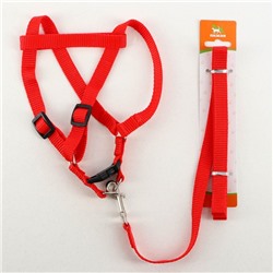 Комплект «Базис», поводок 120×1.5 см, шлейка 32-46×1.5 см, красный