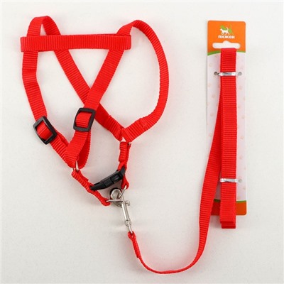 Комплект «Базис», поводок 120×1.5 см, шлейка 32-46×1.5 см, красный