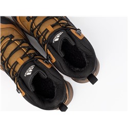 Зимние Ботинки Adidas Terrex Winter