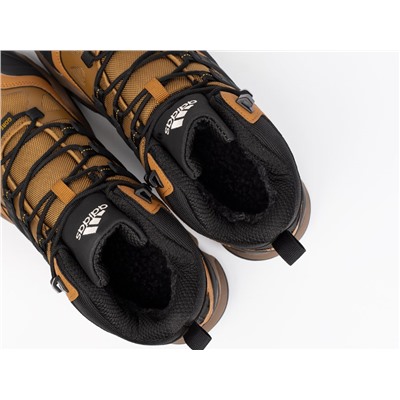 Зимние Ботинки Adidas Terrex Winter