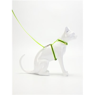 Комплект для кошек светоотражающий, ширина 1 см, шлейка 21-35 см, поводок 120 см, зелёный