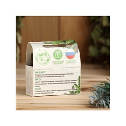 Новогодний набор эфирных масел «С Новым годом! С легким паром!», эвкалипт, мята, пихта, 3 шт. по 10 мл