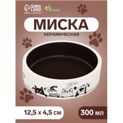 Миска керамическая «Весёлые котики» 300 мл - 12.5×12.5×4.5 см, чёрная/белая