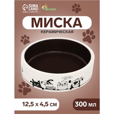 Миска керамическая «Весёлые котики» 300 мл - 12.5×12.5×4.5 см, чёрная/белая