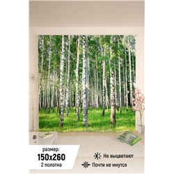 Фотошторы 10840 (Зеленый)
