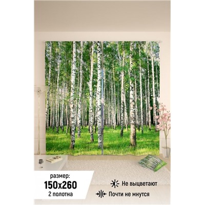 Фотошторы 10840 (Зеленый)