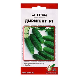 Семена Огурец Диригент F1 6 шт